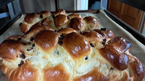 Referencia Torta